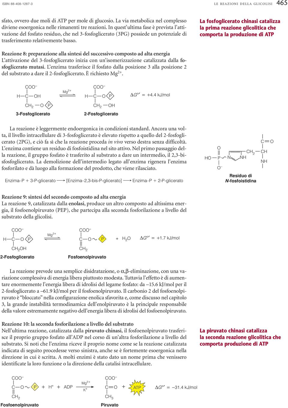 La fosfoglicerato chinasi catalizza la prima reazione glicolitica che comporta la produzione di AT Reazione 8: preparazione alla sintesi del successivo composto ad alta energia L attivazione del