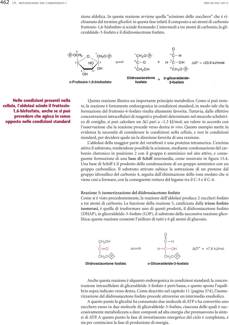 formando intermedi a tre atomi di carbonio, la gliceraldeide-3-fosfato e il diidrossiacetone fosfato.