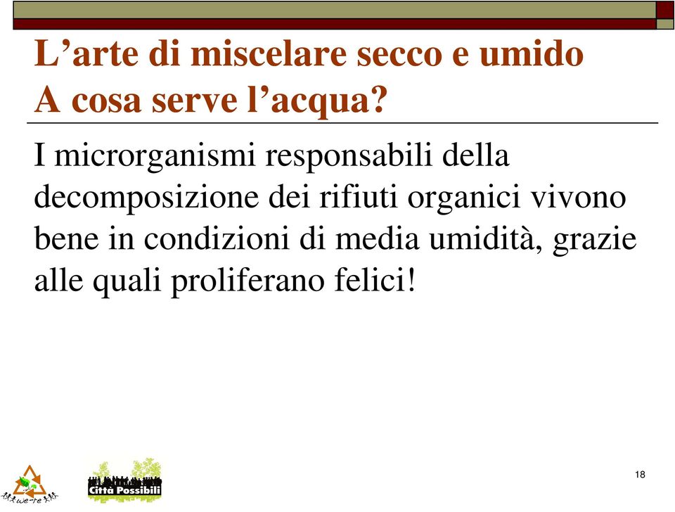 I microrganismi responsabili della decomposizione