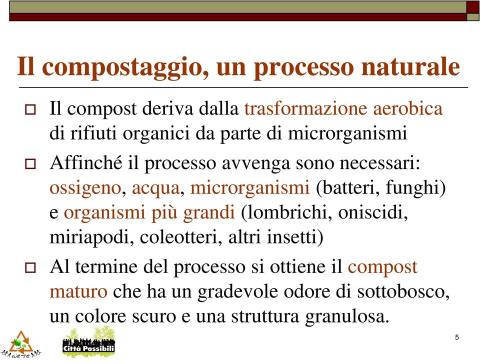 funghi) e organismi più grandi (lombrichi, oniscidi, miriapodi, coleotteri, altri insetti) Al termine del