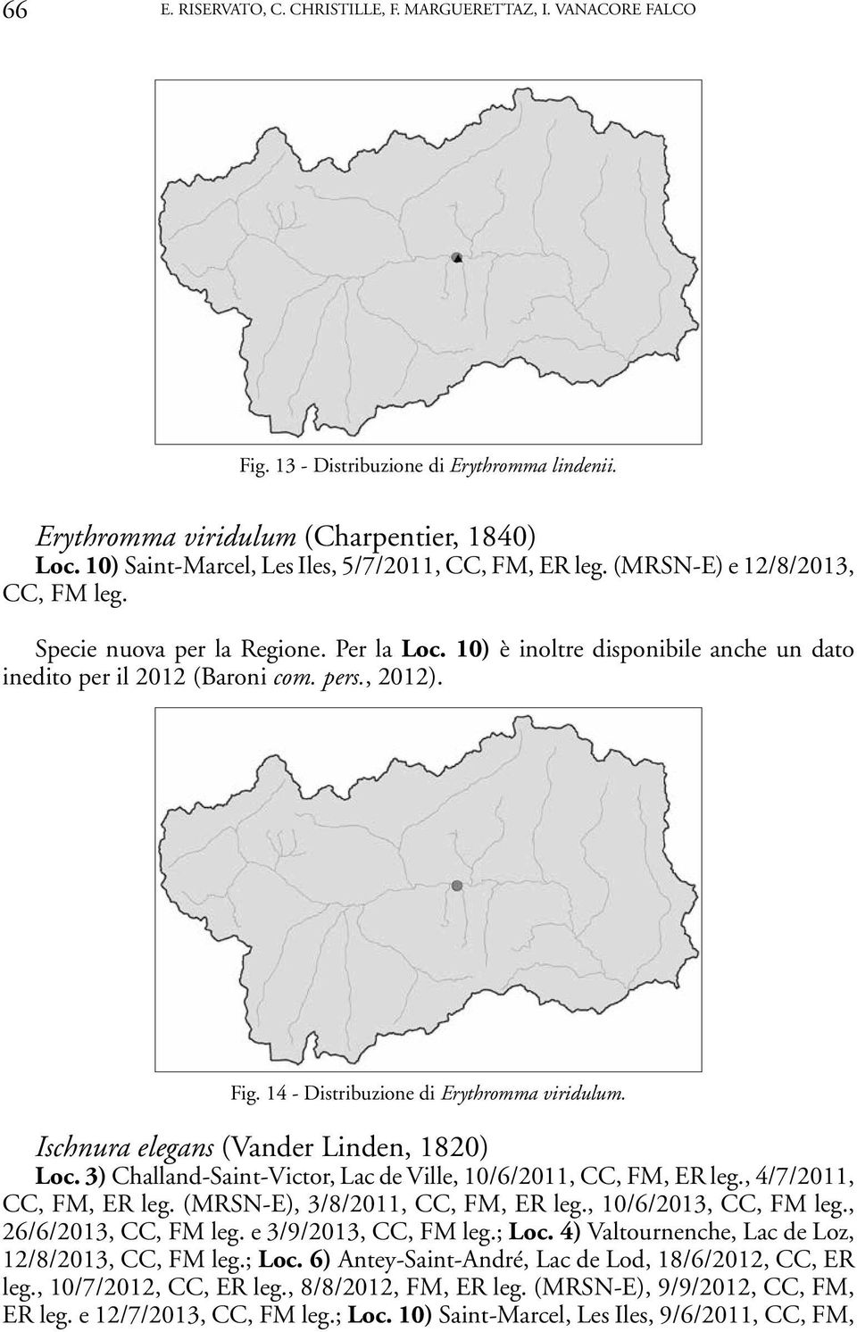 10) è inoltre disponibile anche un dato inedito per il 2012 (Baroni com. pers., 2012). Fig. 14 - Distribuzione di Erythromma viridulum. Ischnura elegans (Vander Linden, 1820) Loc.