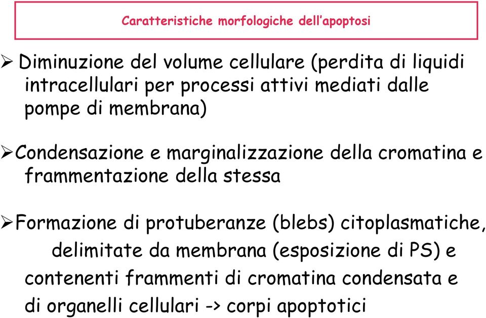 cromatina e frammentazione della stessa Formazione di protuberanze (blebs) citoplasmatiche, delimitate da