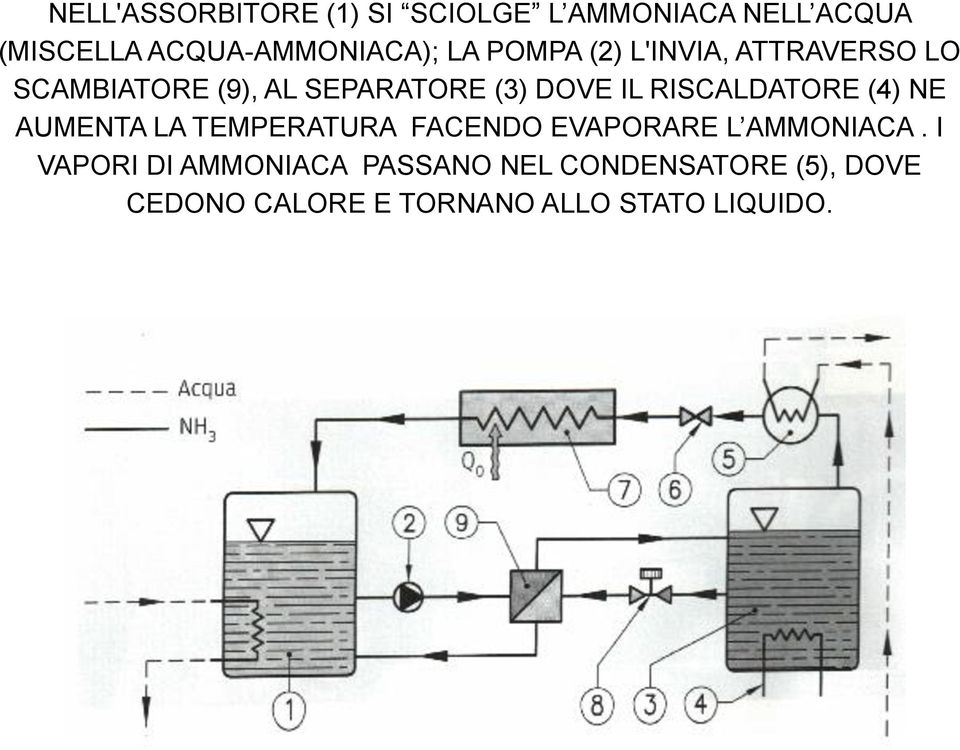 RISCALDATORE (4) NE AUMENTA LA TEMPERATURA FACENDO EVAPORARE L AMMONIACA.