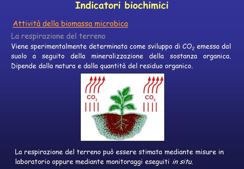 mineralizzazione della sostanza organica.