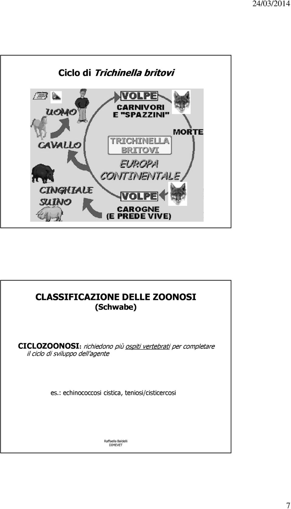 vertebrati per completare il ciclo di