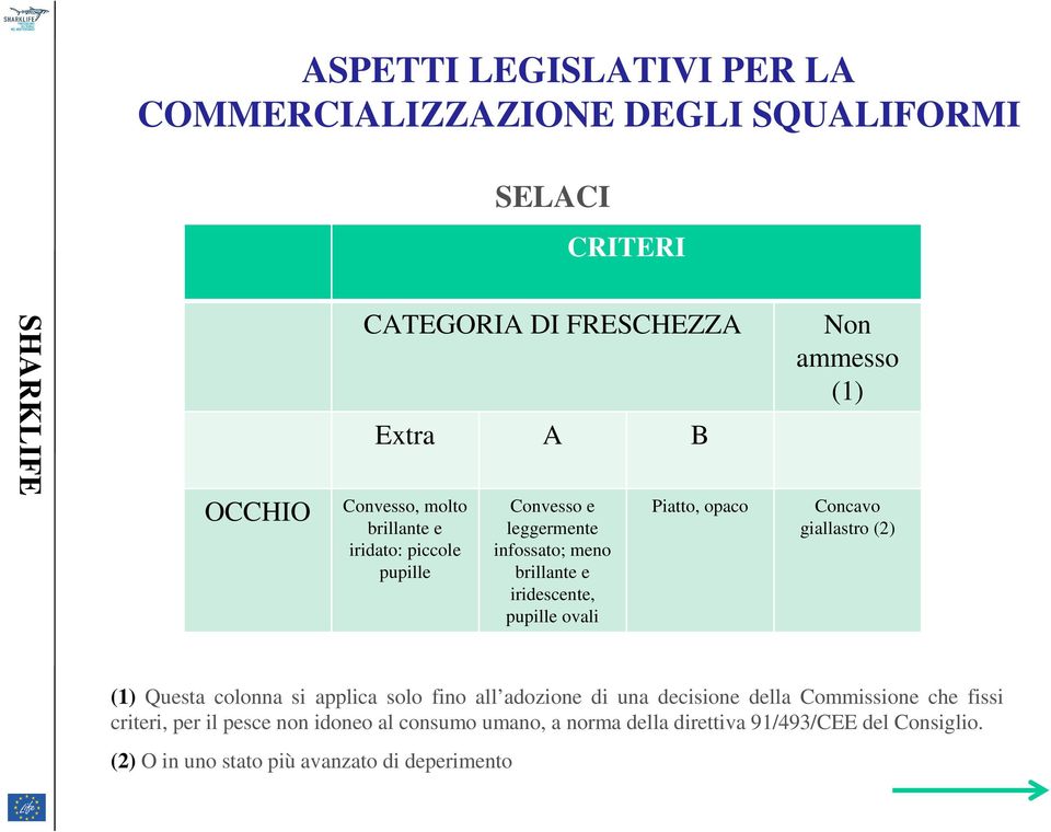 ammesso (1) Concavo giallastro (2) (1) Questa colonna si applica solo fino all adozione di una decisione della Commissione che fissi