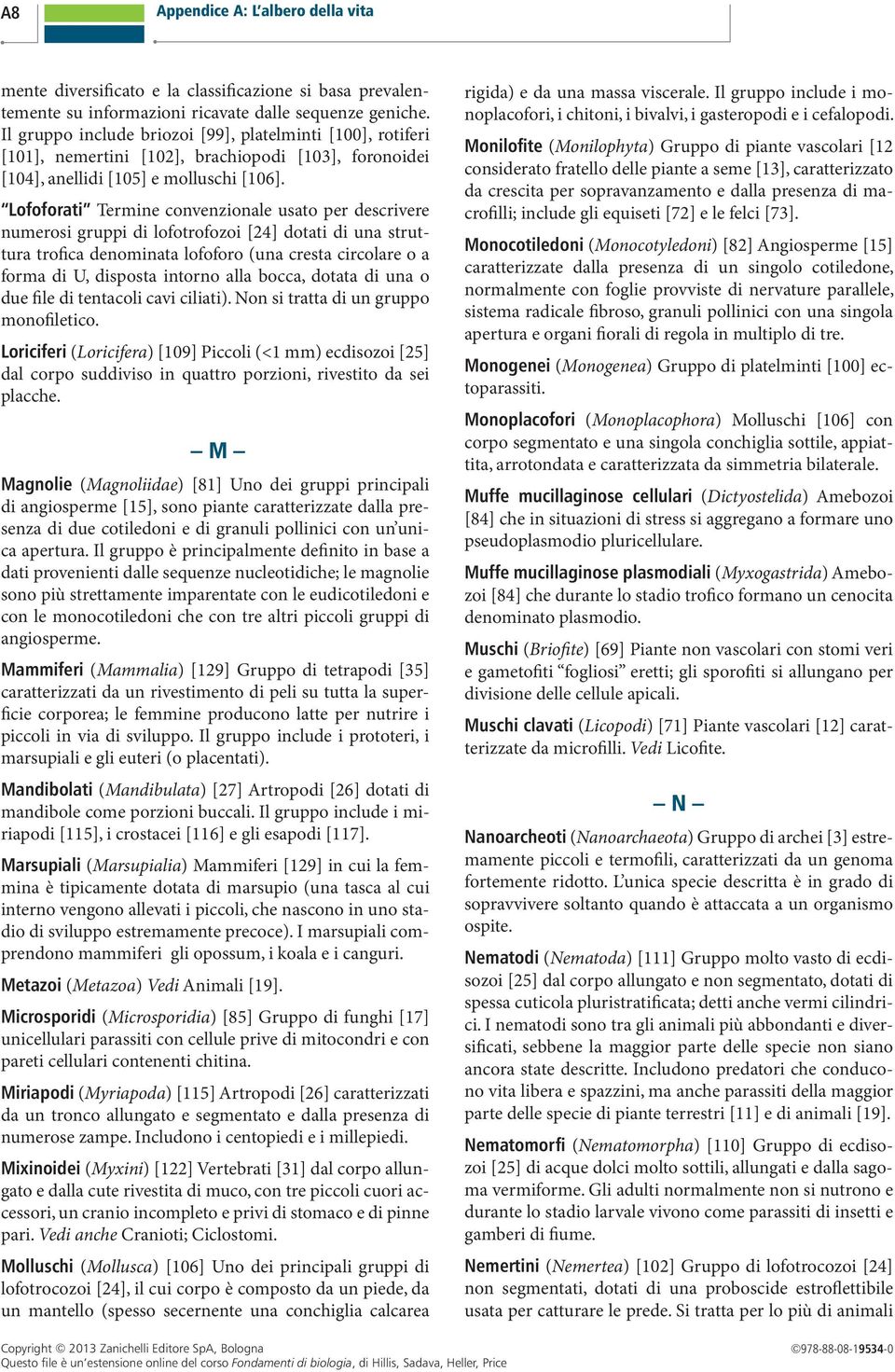 Lofoforati Termine convenzionale usato per descrivere numerosi gruppi di lofotrofozoi [24] dotati di una struttura trofica denominata lofoforo (una cresta circolare o a forma di U, disposta intorno