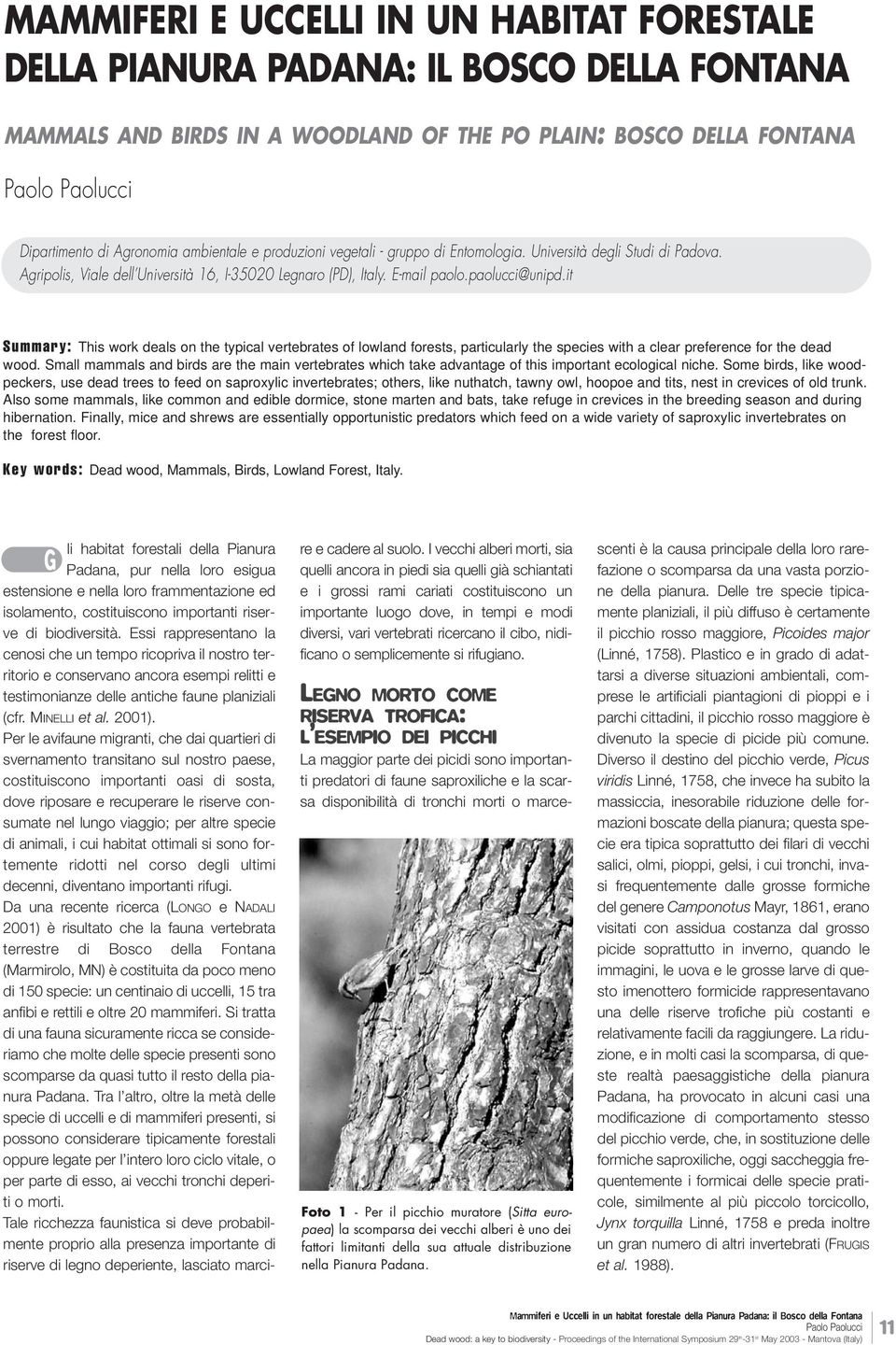 it Summary: This work deals on the typical vertebrates of lowland forests, particularly the species with a clear preference for the dead wood.