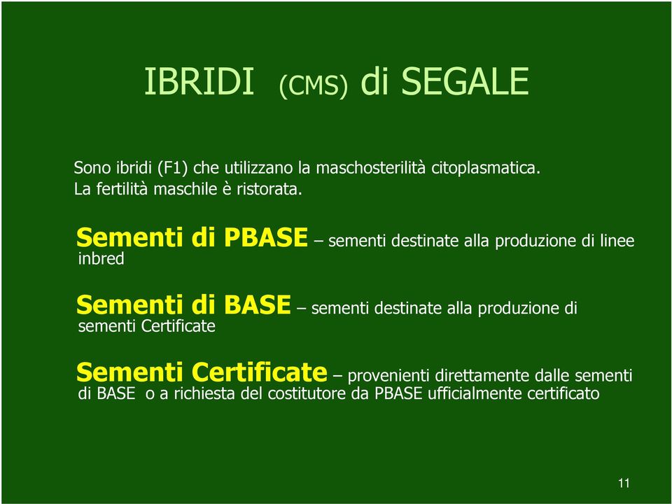 Sementi di PBASE sementi destinate alla produzione di linee inbred Sementi di BASE sementi