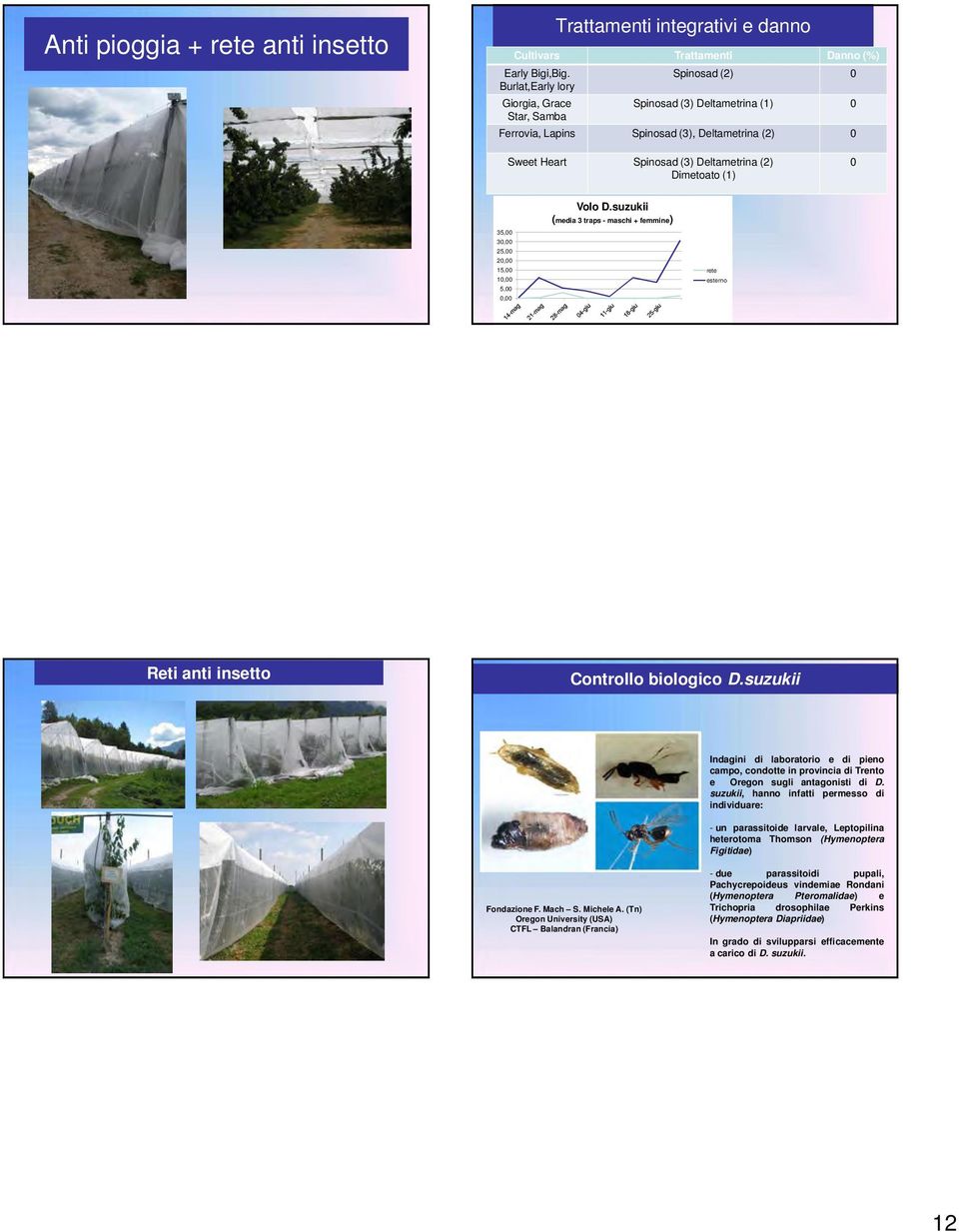 35,00 30,00 25,00 20,00 15,00 10,00 5,00 0,00 Volo D.suzukii (media 3 traps - maschi + femmine) rete esterno Reti anti insetto Controllo biologico D.