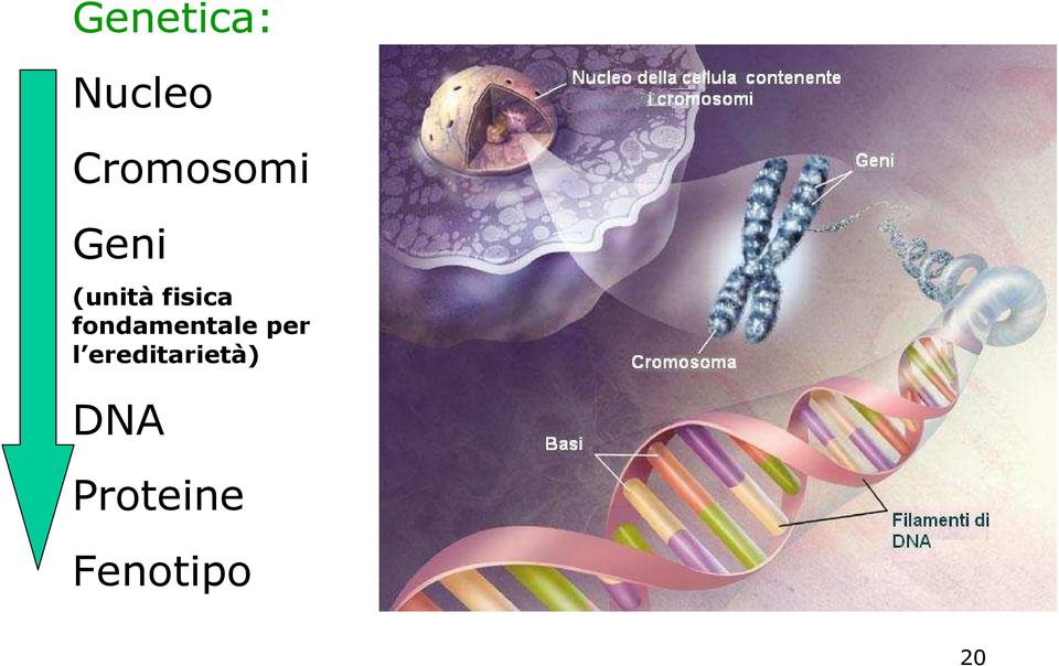 fisica fondamentale per l