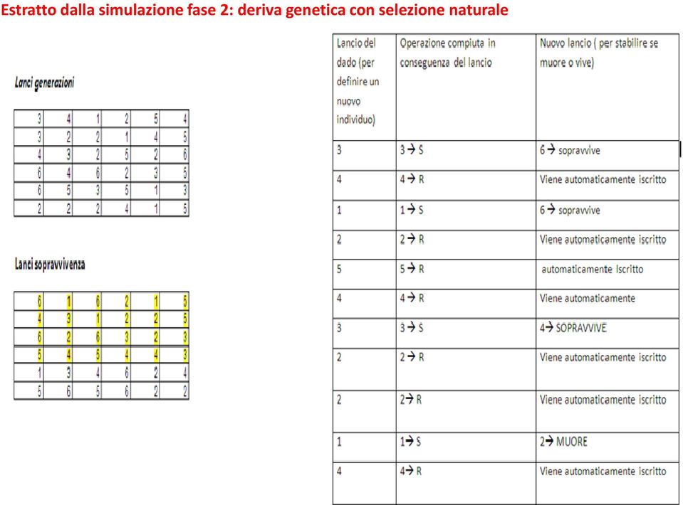 2: deriva genetica