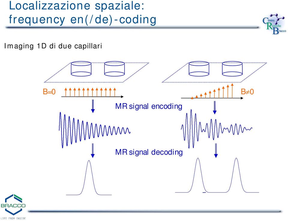 Imaging 1D di due capillari B=0