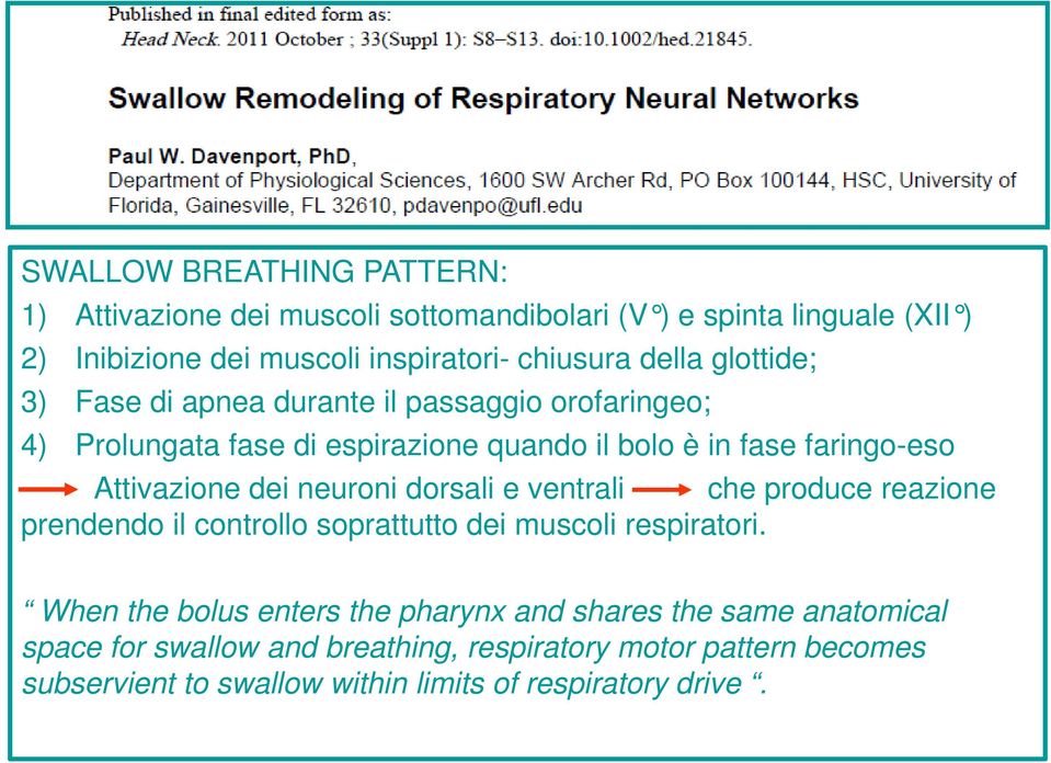 dei neuroni dorsali e ventrali che produce reazione prendendo il controllo soprattutto dei muscoli respiratori.