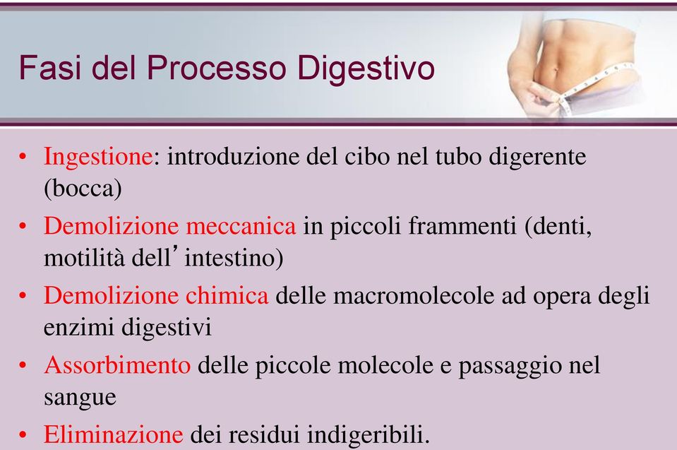 Demolizione chimica delle macromolecole ad opera degli enzimi digestivi