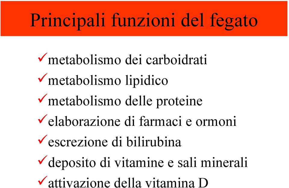 proteine elaborazione di farmaci e ormoni escrezione di