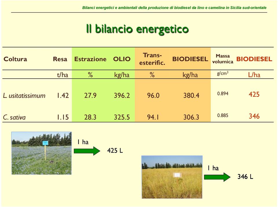 BIODIESEL Massa volumica BIODIESEL t/ha % kg/ha % kg/ha g/cm 3