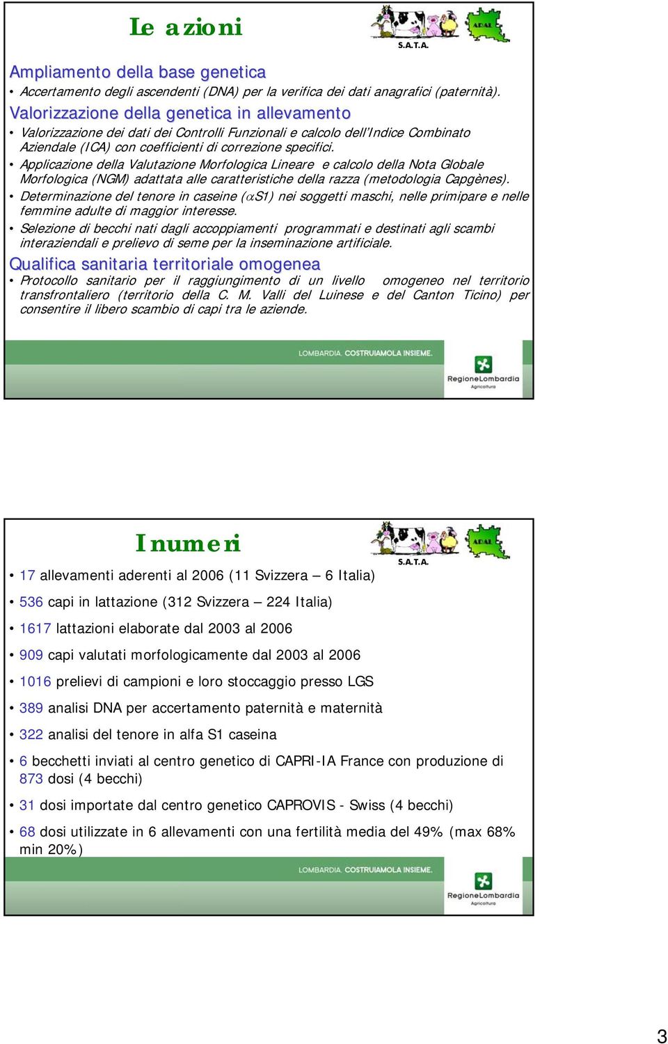 Applicazione della Valutazione Morfologica Lineare e calcolo della Nota Globale Morfologica (NGM) adattata alle caratteristiche della razza (metodologia Capgènes).