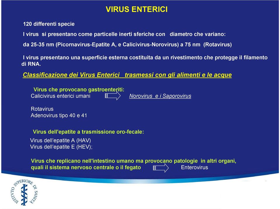 Classificazione dei Virus Enterici trasmessi con gli alimenti e le acque Virus che provocano gastroenteriti: Calicivirus enterici umani Norovirus e i Saporovirus Rotavirus Adenovirus