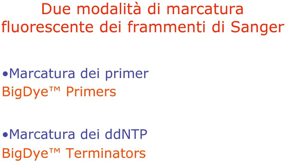 Sanger Marcatura dei primer BigDye