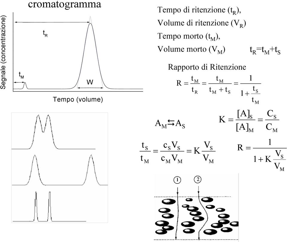 ) di t R =t M +t S Rapporto di Ritenzione t M t M 1 R = = = t t R t M + ts S 1+ t