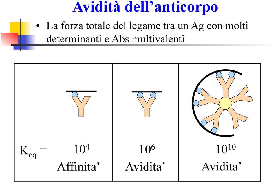 determinanti e Abs multivalenti K eq