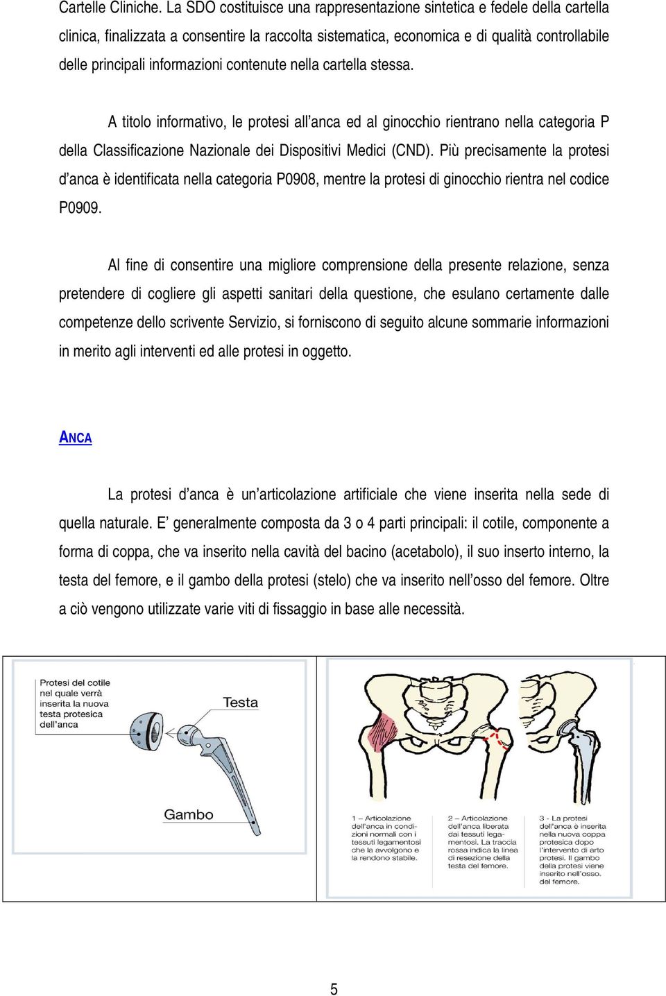 contenute nella cartella stessa. A titolo informativo, le protesi all anca ed al ginocchio rientrano nella categoria P della Classificazione Nazionale dei Dispositivi Medici (CND).