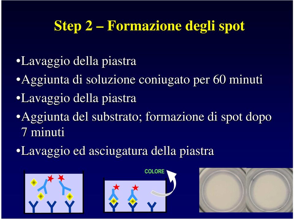 della piastra Aggiunta del substrato; formazione di