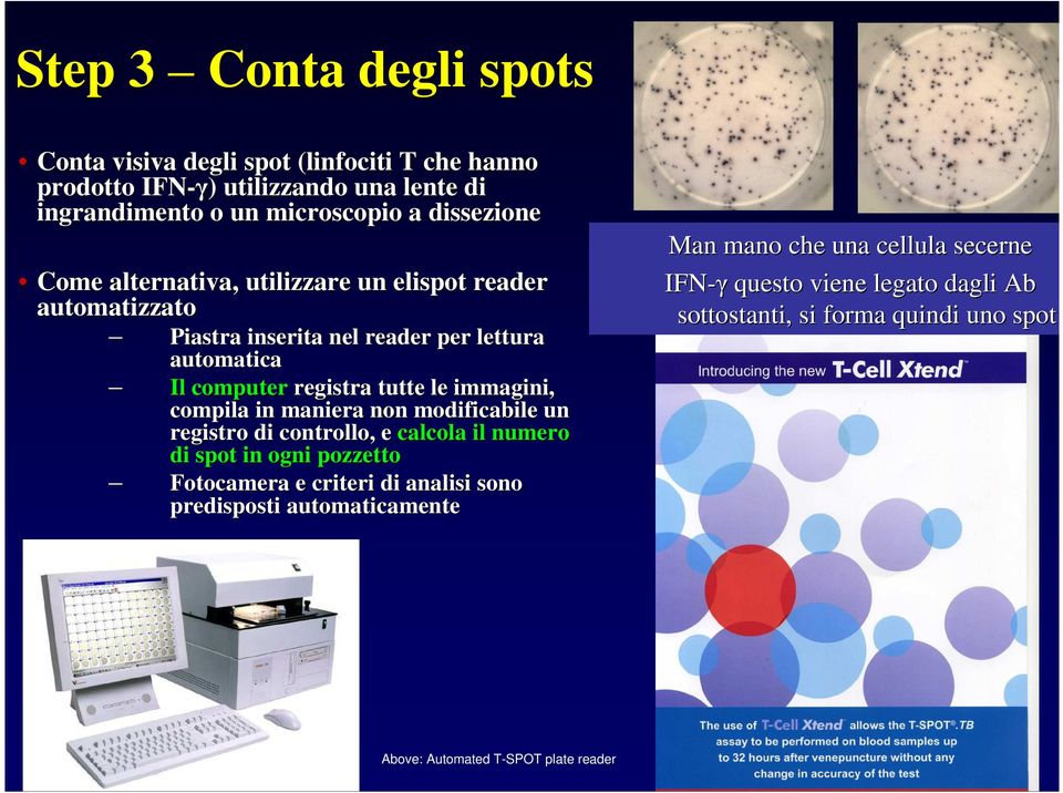 immagini, compila in maniera non modificabile un registro di controllo, e calcola il numero di spot in ogni pozzetto Fotocamera e criteri di analisi sono