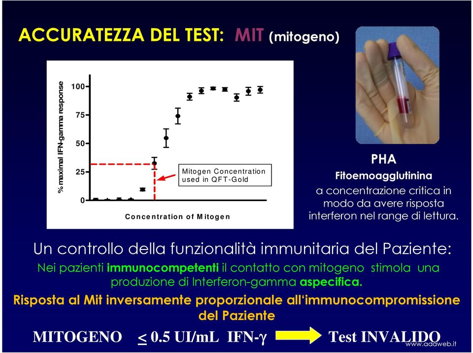 Un controllo della funzionalità immunitaria del Paziente: Nei pazienti immunocompetenti il contatto con mitogeno stimola una produzione di