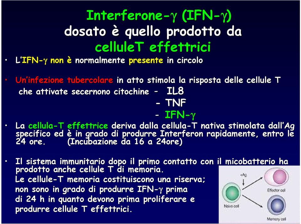 produrre Interferon rapidamente, entro le 24 ore.