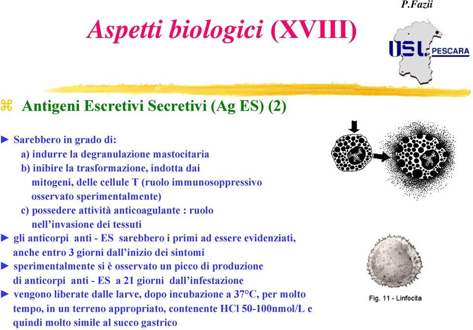 sarebbero i primi ad essere evidenziati, anche entro 3 giorni dall inizio dei sintomi sperimentalmente si è osservato un picco di produzione di anticorpi anti - ES a 21 giorni