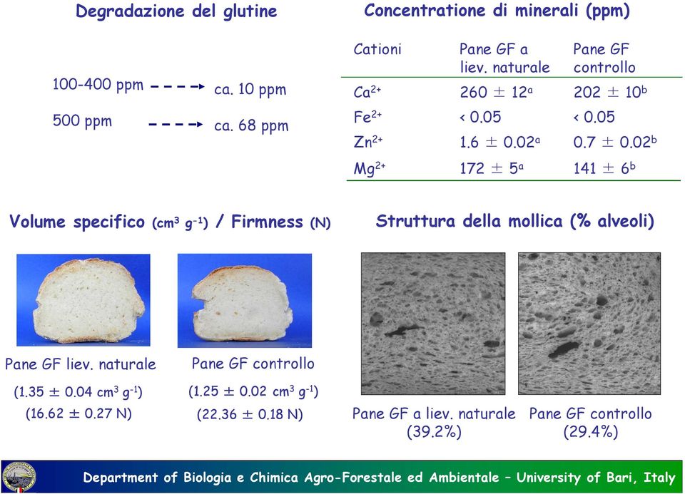 02 b Mg 2+ 172 ± 5 a 141 ± 6 b Volume specifico (cm 3 g -1 ) / Firmness (N) Struttura della mollica (% alveoli) Pane GF liev.