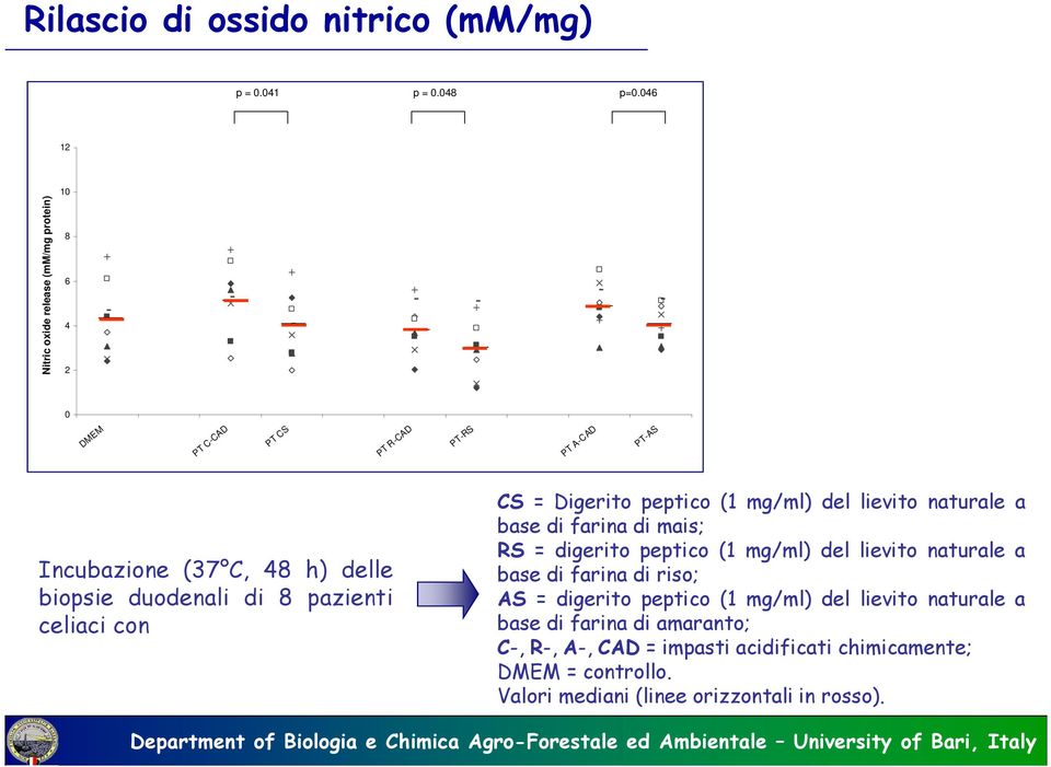 delle biopsie duodenali di 8 pazienti celiaci con CS = Digerito peptico (1 mg/ml) del lievito naturale a base di farina di mais; RS = digerito peptico (1
