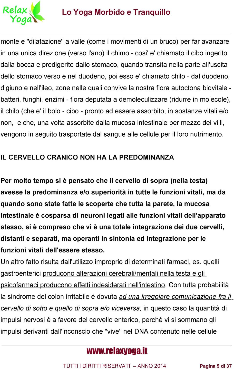 biovitale batteri, funghi, enzimi - flora deputata a demoleculizzare (ridurre in molecole), il chilo (che e' il bolo - cibo - pronto ad essere assorbito, in sostanze vitali e/o non, e che, una volta