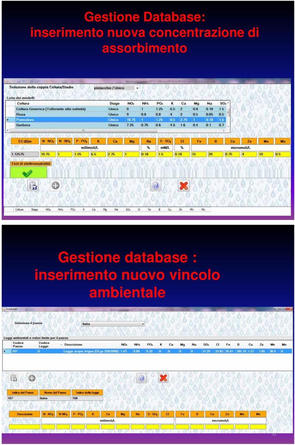 assorbimento 31 Gestione