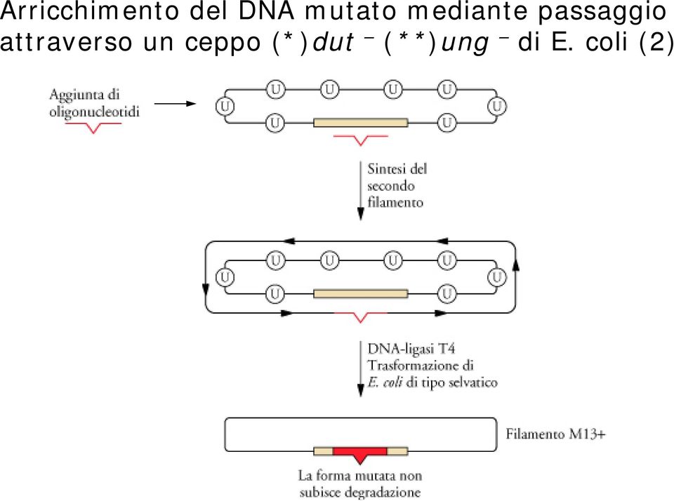 passaggio attraverso un