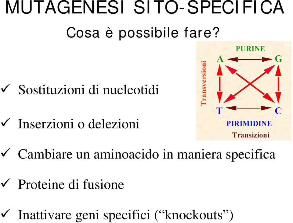 Cambiare un aminoacido in maniera specifica