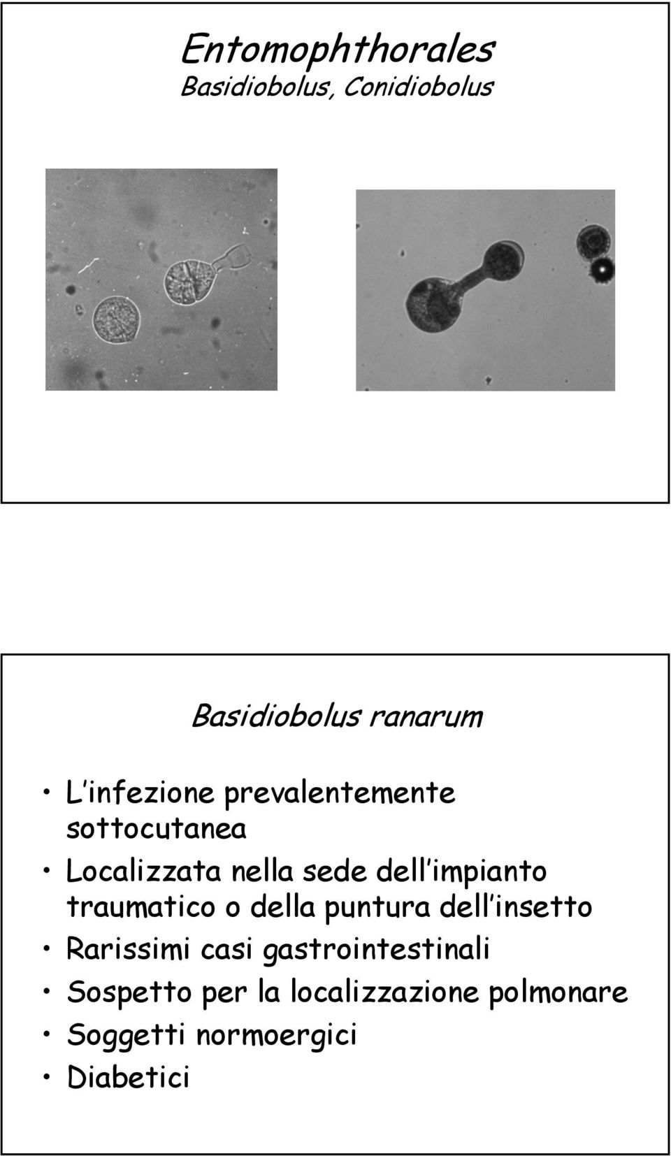 impianto traumatico o della puntura dell insetto Rarissimi casi