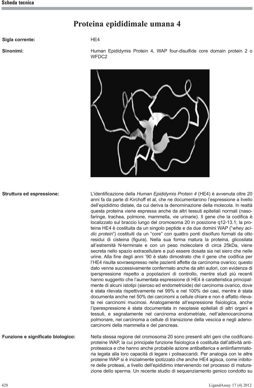 In realtà questa proteina viene espressa anche da altri tessuti epiteliali normali (nasofaringe, trachea, polmone, mammella, vie urinarie).