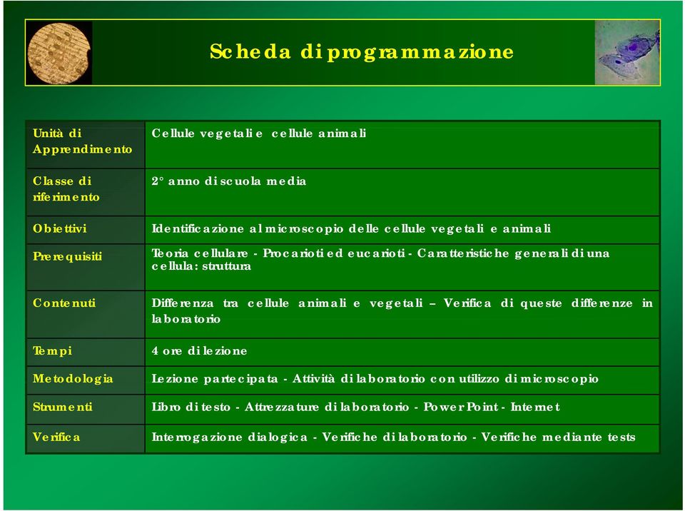 cellule animali e vegetali Verifica di queste differenze in laboratorio 4 ore di lezione Metodologia eodooga Lezione e partecipata a - Attività di laboratorio a o o con utilizzo