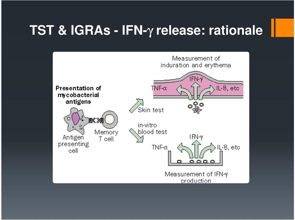 IFN-γ