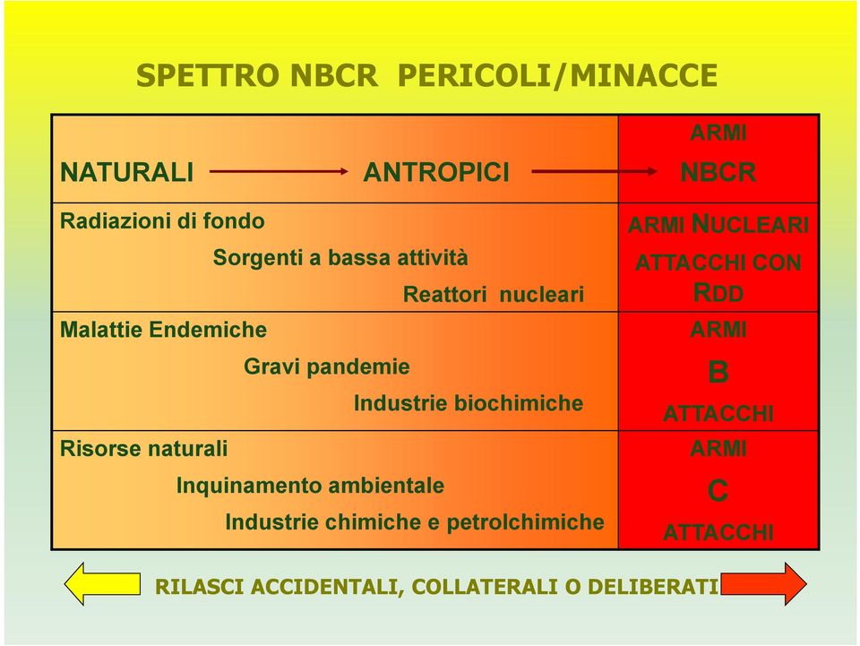 naturali Inquinamento ambientale Industrie chimiche e petrolchimiche ARMI NBCR ARMI