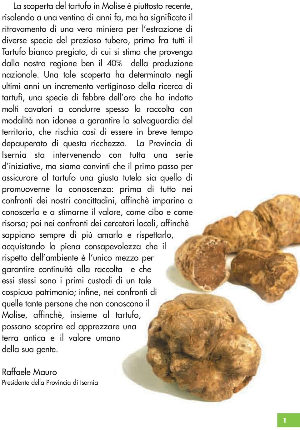 Una tale scoperta ha determinato negli ultimi anni un incremento vertiginoso della ricerca di tartufi, una specie di febbre dell oro che ha indotto molti cavatori a condurre spesso la raccolta con