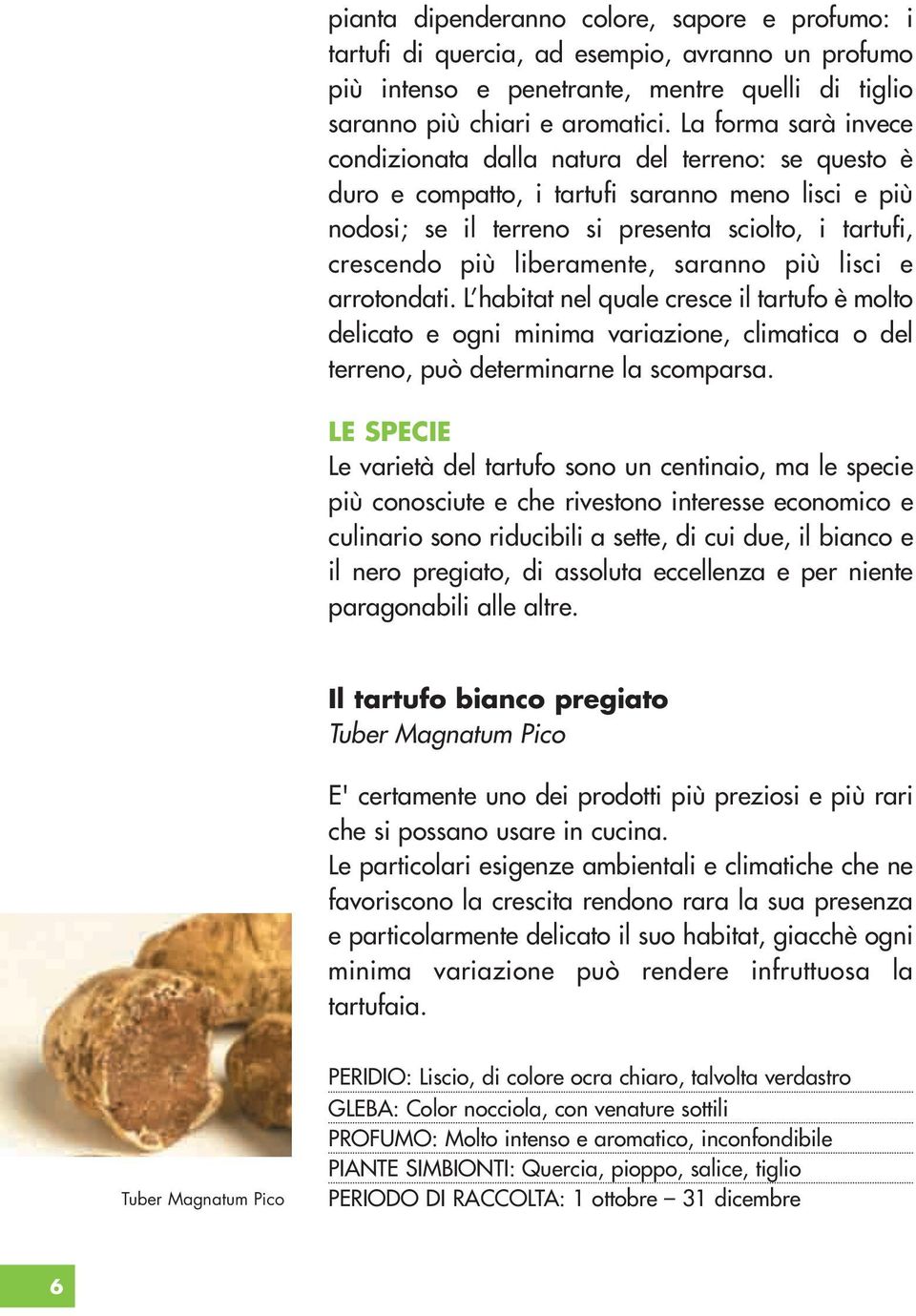 liberamente, saranno più lisci e arrotondati. L habitat nel quale cresce il tartufo è molto delicato e ogni minima variazione, climatica o del terreno, può determinarne la scomparsa.