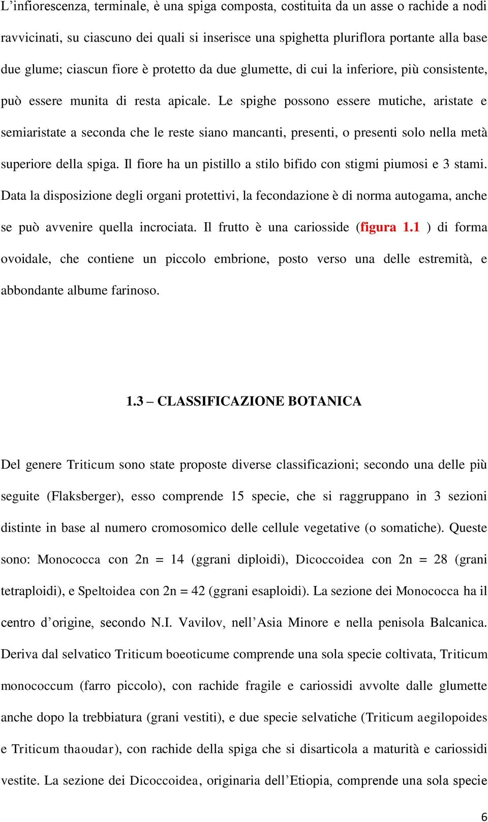 Le spighe possono essere mutiche, aristate e semiaristate a seconda che le reste siano mancanti, presenti, o presenti solo nella metà superiore della spiga.