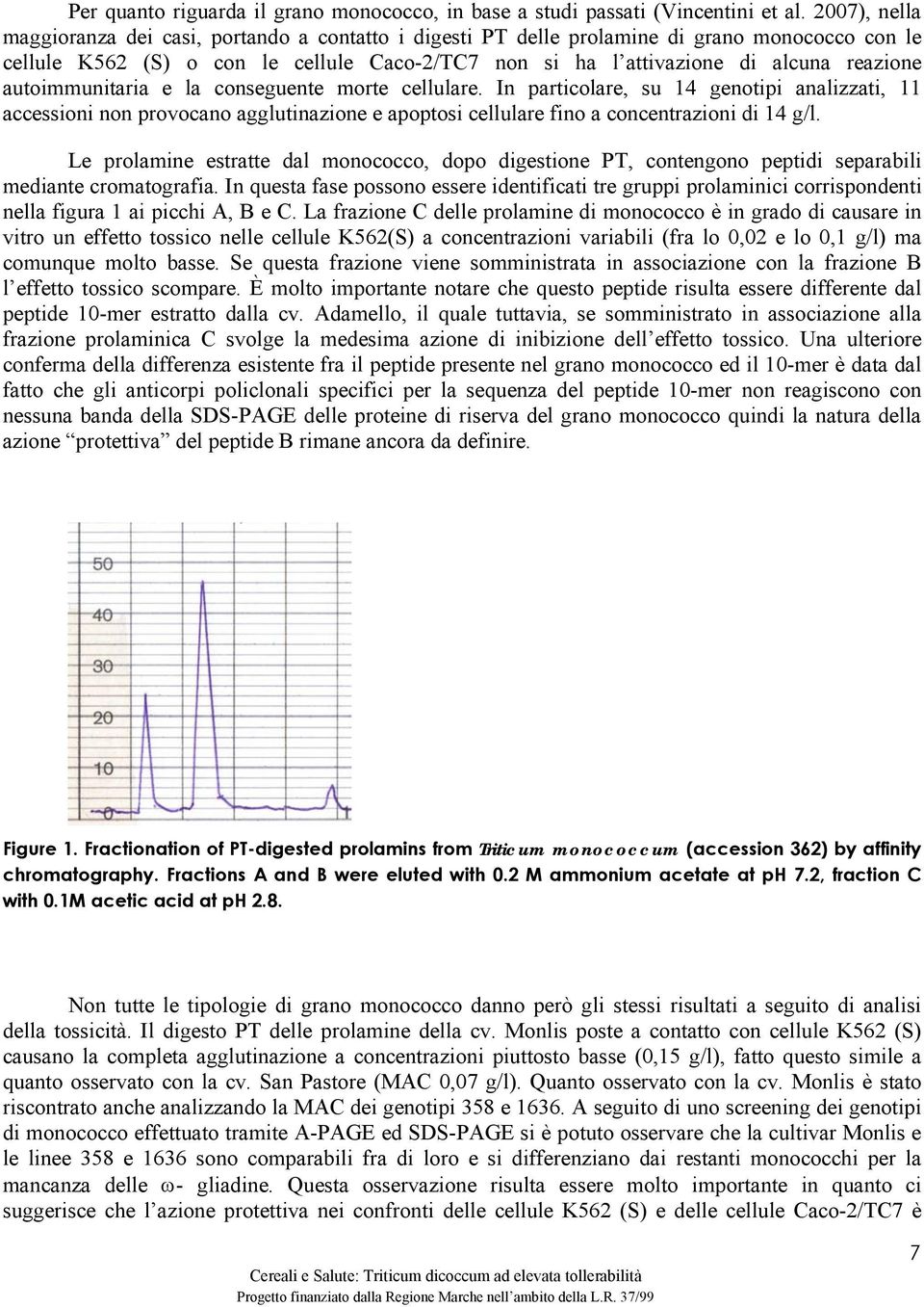 autoimmunitaria e la conseguente morte cellulare. In particolare, su 14 genotipi analizzati, 11 accessioni non provocano agglutinazione e apoptosi cellulare fino a concentrazioni di 14 g/l.