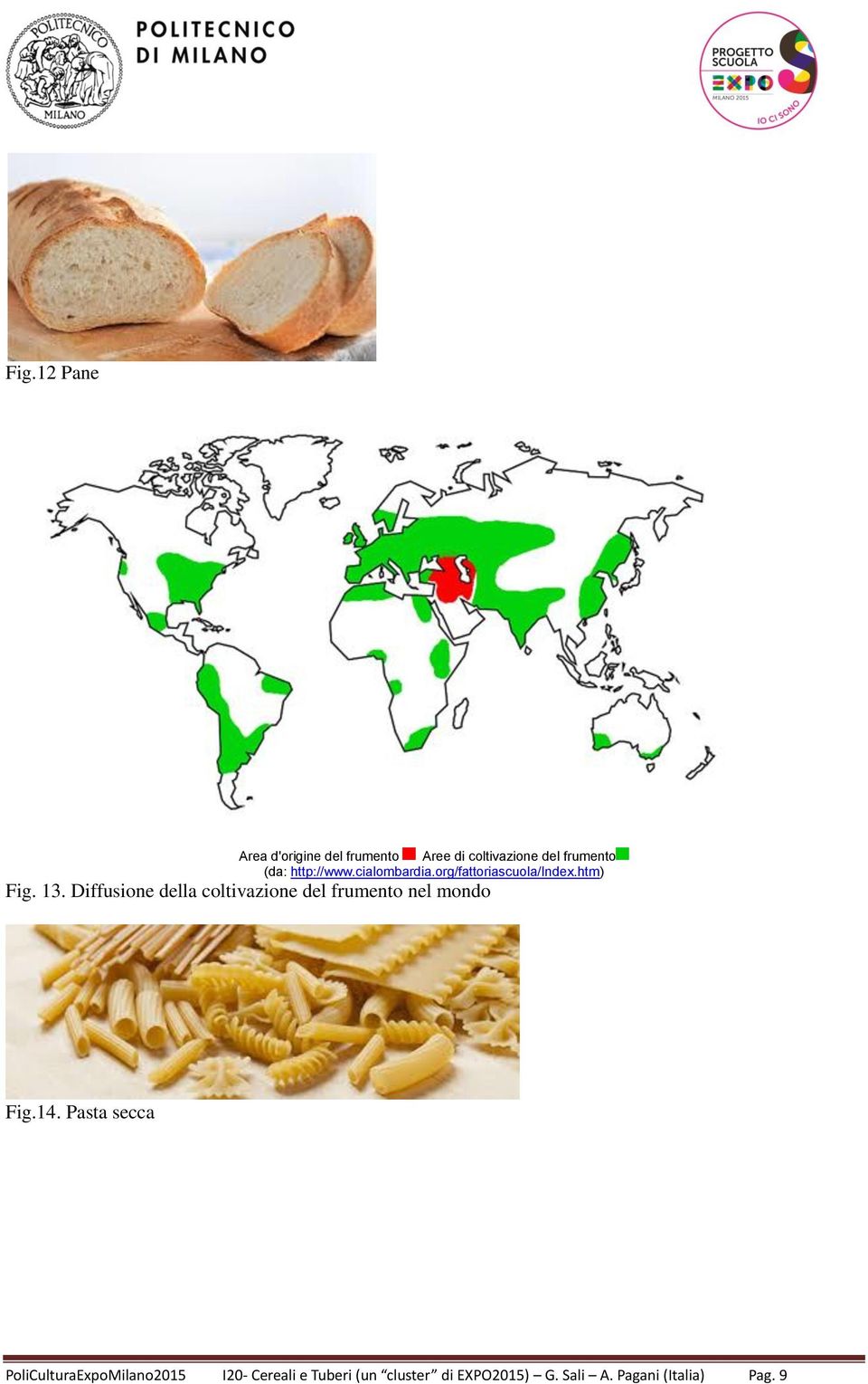 Diffusione della coltivazione del frumento nel mondo Fig.14.