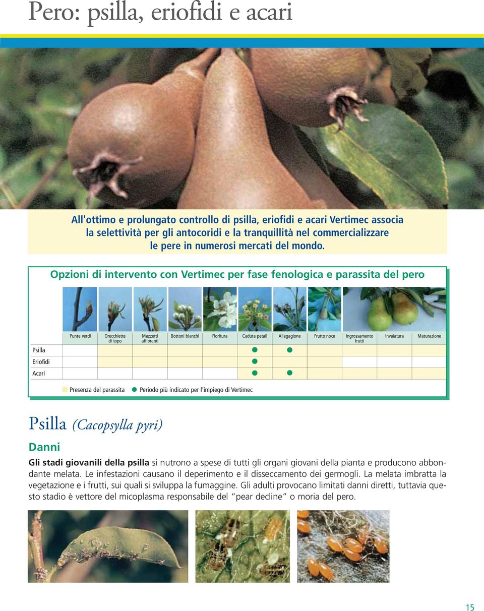 Opzioni di intervento con Vertimec per fase fenologica e parassita del pero Punte verdi Orecchiette di topo Mazzetti affioranti Bottoni bianchi Fioritura Caduta petali Allegagione Frutto noce