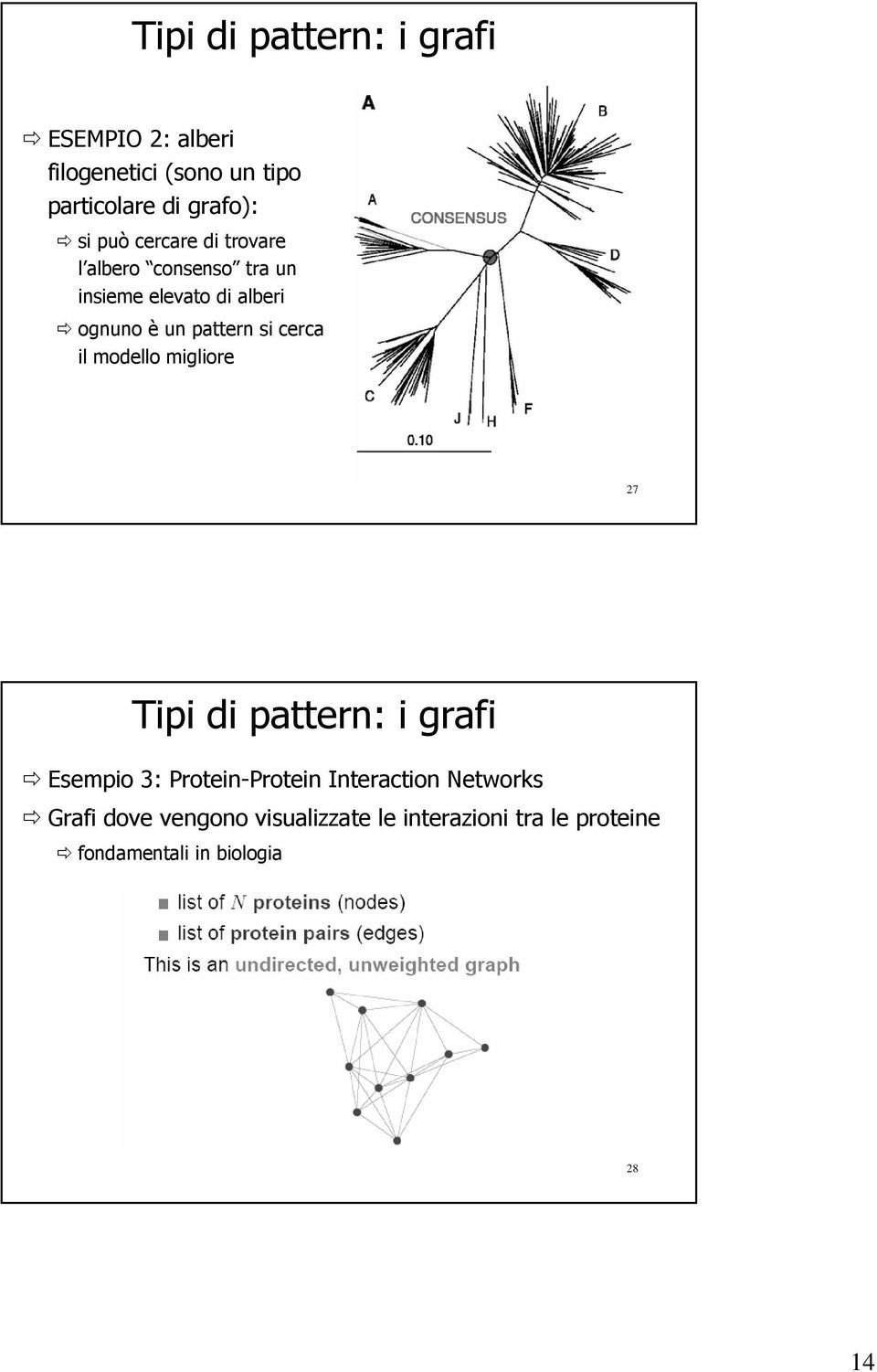 cerca il modello migliore 27 Tipi di pattern: i grafi Esempio 3: Protein-Protein Interaction